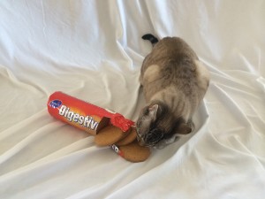 Digestives