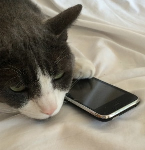 Texting