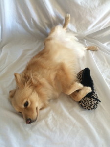 Slipper
