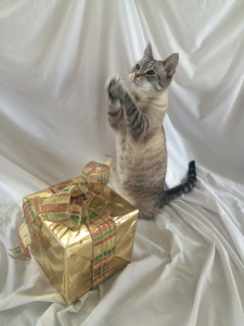 Christmas