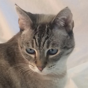 Mia Headshot
