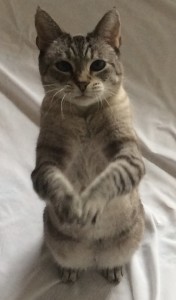 Mia Standing Up