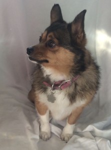 Mika