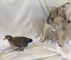 Molly & Tina