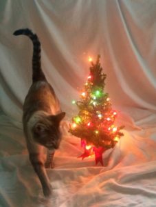 holiday-lights